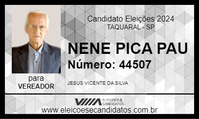 Candidato NENE PICA PAU 2024 - TAQUARAL - Eleições