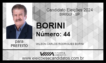 Candidato BORINI 2024 - BIRIGUI - Eleições