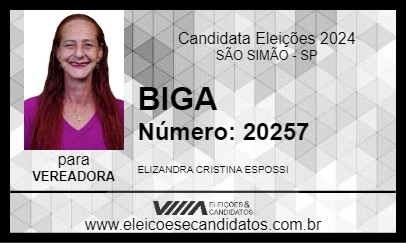 Candidato BIGA 2024 - SÃO SIMÃO - Eleições