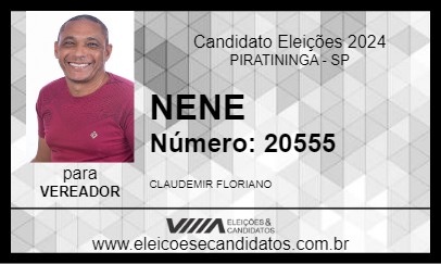 Candidato NENE 2024 - PIRATININGA - Eleições