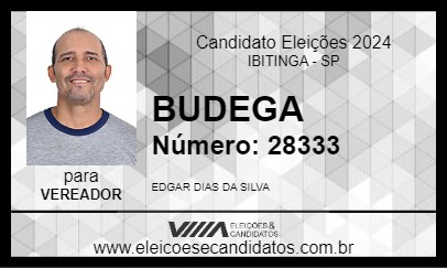 Candidato BUDEGA 2024 - IBITINGA - Eleições