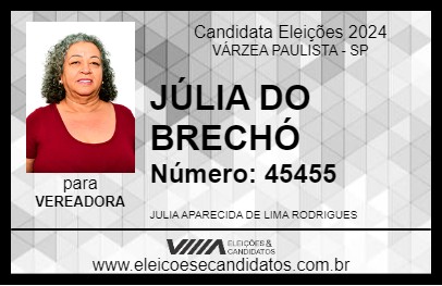 Candidato JÚLIA DO BRECHÓ 2024 - VÁRZEA PAULISTA - Eleições