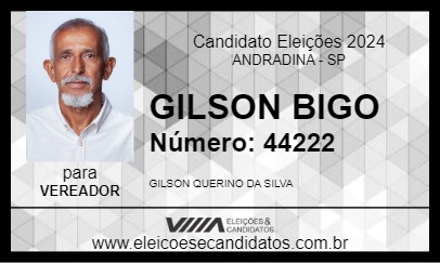 Candidato GILSON BIGO 2024 - ANDRADINA - Eleições