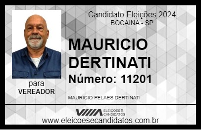 Candidato MAURICIO DERTINATI 2024 - BOCAINA - Eleições