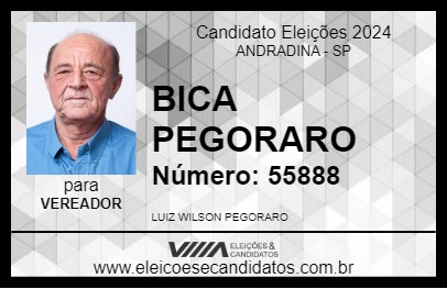 Candidato BICA PEGORARO 2024 - ANDRADINA - Eleições