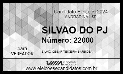 Candidato SILVAO DO PJ 2024 - ANDRADINA - Eleições