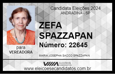 Candidato ZEPHA SPAZZAPAN 2024 - ANDRADINA - Eleições