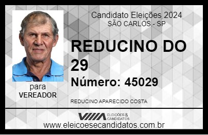 Candidato REDUCINO DO 29 2024 - SÃO CARLOS - Eleições