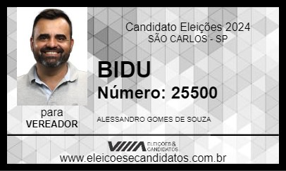 Candidato BIDU 2024 - SÃO CARLOS - Eleições