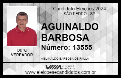 Candidato AGUINALDO BARBOSA 2024 - SÃO PEDRO - Eleições