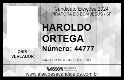 Candidato HAROLDO ORTEGA 2024 - PIRAPORA DO BOM JESUS - Eleições