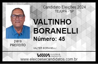 Candidato VALTINHO BORANELLI 2024 - TEJUPÁ - Eleições