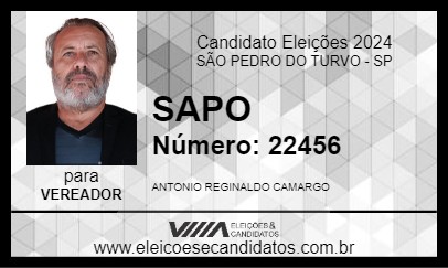 Candidato SAPO 2024 - SÃO PEDRO DO TURVO - Eleições