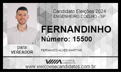 Candidato FERNANDINHO 2024 - ENGENHEIRO COELHO - Eleições