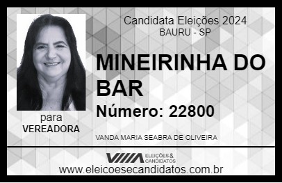 Candidato MINEIRINHA DO BAR 2024 - BAURU - Eleições