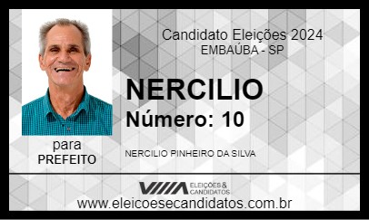 Candidato NERCILIO 2024 - EMBAÚBA - Eleições