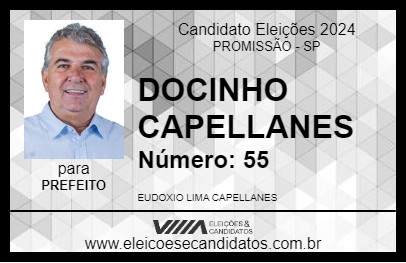 Candidato DOCINHO CAPELLANES 2024 - PROMISSÃO - Eleições