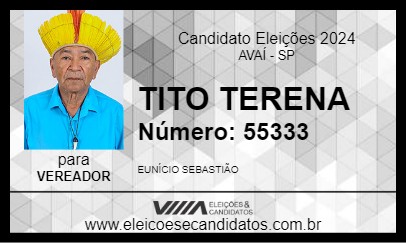 Candidato TITO TERENA 2024 - AVAÍ - Eleições