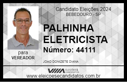 Candidato PALHINHA ELETRICISTA 2024 - BEBEDOURO - Eleições