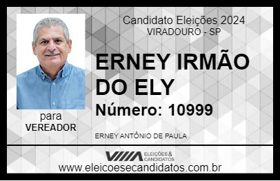 Candidato ERNEY IRMÃO DO ELY 2024 - VIRADOURO - Eleições