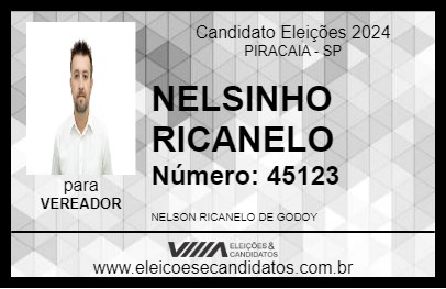 Candidato NELSINHO RICANELO 2024 - PIRACAIA - Eleições