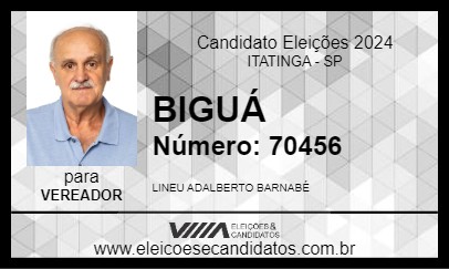 Candidato BIGUÁ 2024 - ITATINGA - Eleições