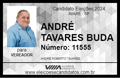 Candidato ANDRÉ TAVARES BUDA 2024 - AVARÉ - Eleições