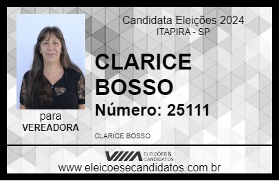 Candidato CLARICE BOSSO 2024 - ITAPIRA - Eleições