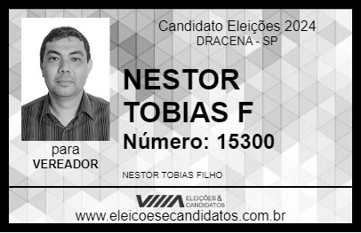 Candidato NESTOR TOBIAS F 2024 - DRACENA - Eleições