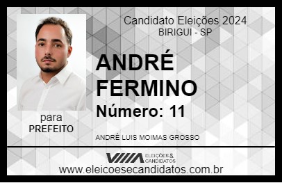 Candidato ANDRÉ FERMINO 2024 - BIRIGUI - Eleições