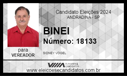 Candidato BINEI 2024 - ANDRADINA - Eleições