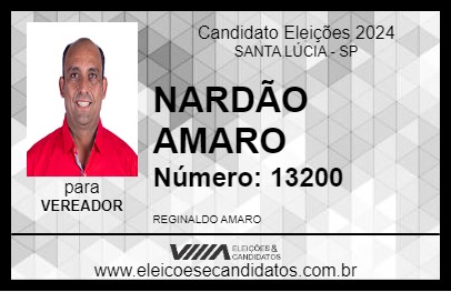 Candidato NARDÃO AMARO 2024 - SANTA LÚCIA - Eleições