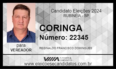 Candidato CORINGA 2024 - RUBINÉIA - Eleições