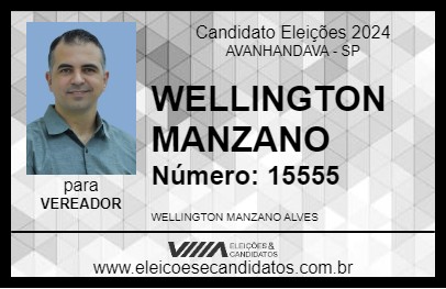 Candidato WELLINGTON MANZANO 2024 - AVANHANDAVA - Eleições