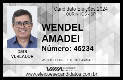 Candidato WENDEL AMADEI 2024 - OURINHOS - Eleições