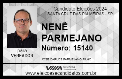 Candidato NENÊ PARMEJANO 2024 - SANTA CRUZ DAS PALMEIRAS - Eleições