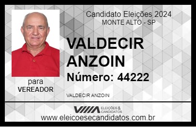 Candidato VALDECIR ANZOIN 2024 - MONTE ALTO - Eleições