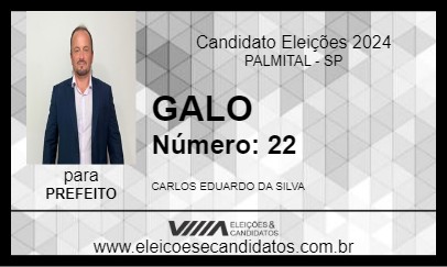 Candidato GALO 2024 - PALMITAL - Eleições