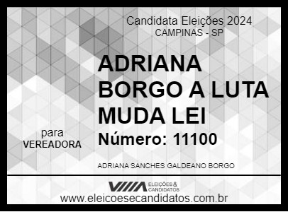 Candidato ADRIANA BORGO A LUTA MUDA LEI 2024 - CAMPINAS - Eleições