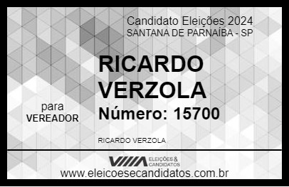 Candidato RICARDO VERZOLA 2024 - SANTANA DE PARNAÍBA - Eleições