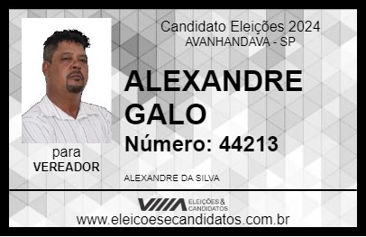 Candidato ALEXANDRE GALO 2024 - AVANHANDAVA - Eleições