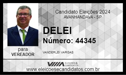 Candidato DELEI 2024 - AVANHANDAVA - Eleições