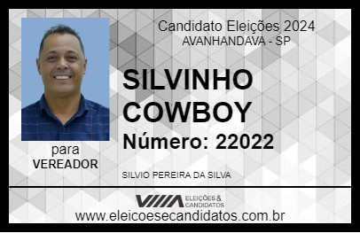 Candidato SILVINHO COWBOY 2024 - AVANHANDAVA - Eleições