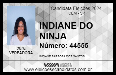 Candidato INDIANE DO NINJA 2024 - ICÉM - Eleições