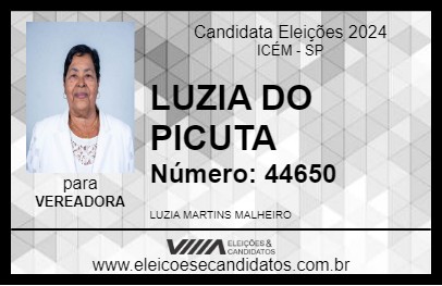 Candidato LUZIA DO PICUTA 2024 - ICÉM - Eleições