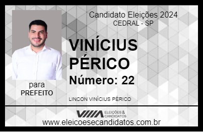 Candidato VINÍCIUS PÉRICO 2024 - CEDRAL - Eleições