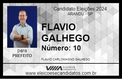 Candidato FLAVIO GALHEGO 2024 - ARANDU - Eleições