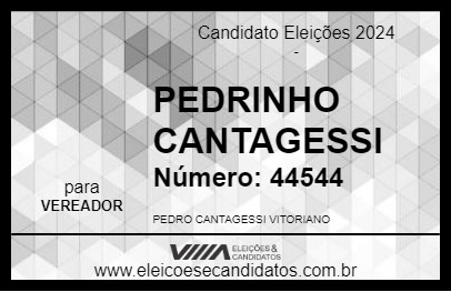 Candidato PEDRINHO CANTAGESSI 2024 - OSASCO - Eleições