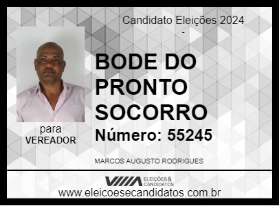 Candidato BODE DA SAÚDE 2024 - PIRAPOZINHO - Eleições