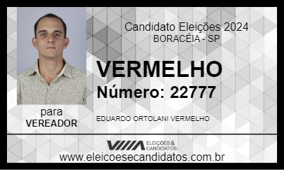 Candidato VERMELHO 2024 - BORACÉIA - Eleições